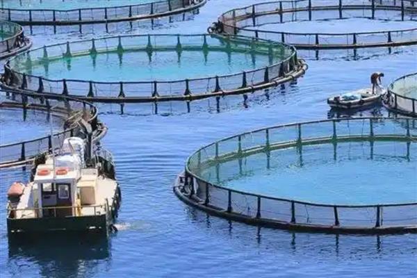 水产生意好不好做，存在各种风险需谨慎入行