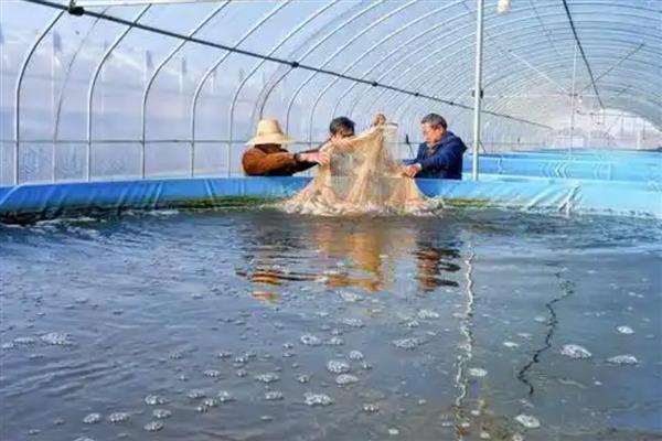 水产生意好不好做，存在各种风险需谨慎入行