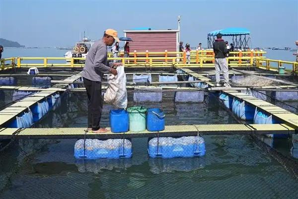 水产生意好不好做，存在各种风险需谨慎入行