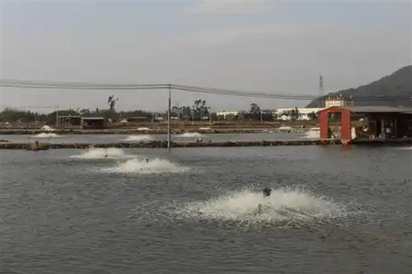 水产生意好不好做，存在各种风险需谨慎入行