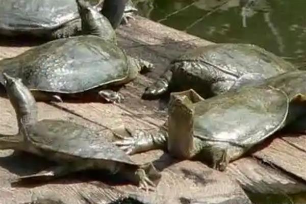 水产生意好不好做，存在各种风险需谨慎入行