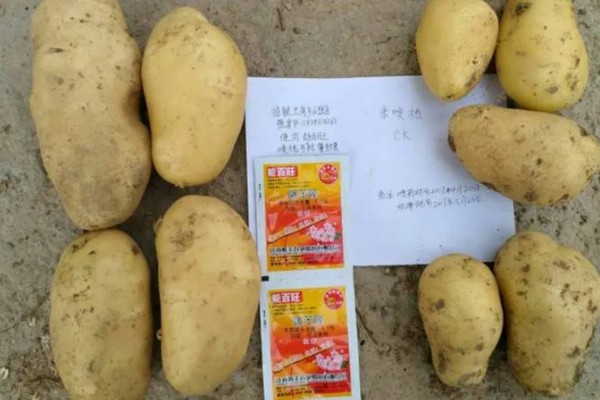 能百旺有什么作用，具有促进植物生长、提高花芽分化率等效果