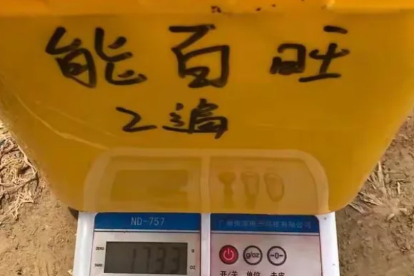 能百旺有什么作用，具有促进植物生长、提高花芽分化率等效果