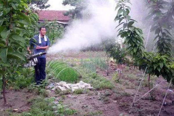 芸苔素内酯的用量多少合适，用途不同导致用量不同