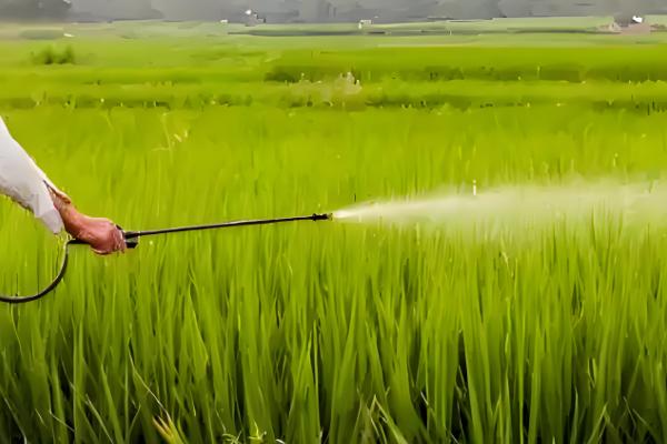 提高农药利用率的方法，按照使用说明配制药液浓度