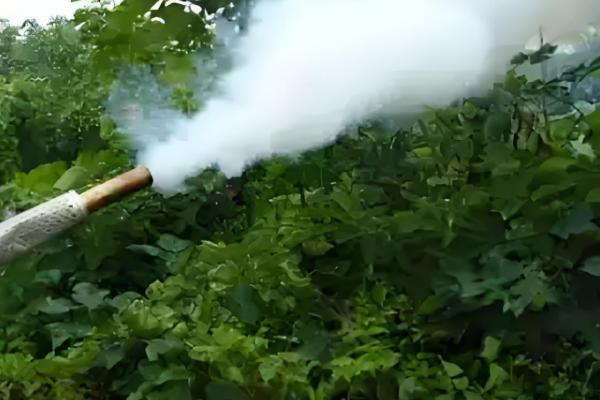 提高农药利用率的方法，按照使用说明配制药液浓度