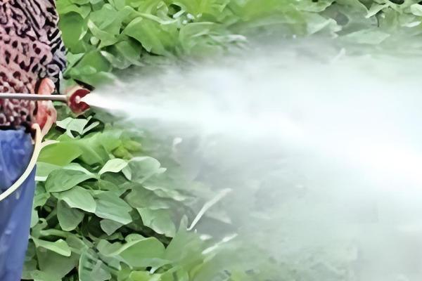 提高农药利用率的方法，按照使用说明配制药液浓度