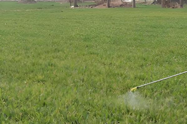 提高农药利用率的方法，按照使用说明配制药液浓度