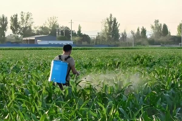 提高农药利用率的方法，按照使用说明配制药液浓度