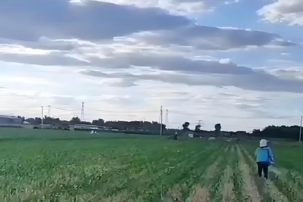 提高农药利用率的方法，按照使用说明配制药液浓度