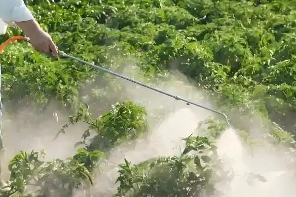 提高农药利用率的方法，按照使用说明配制药液浓度
