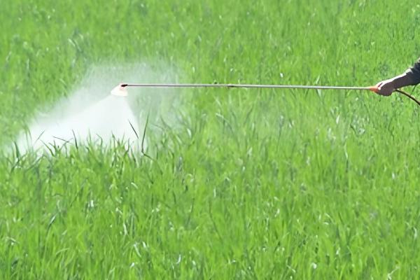 提高农药利用率的方法，按照使用说明配制药液浓度