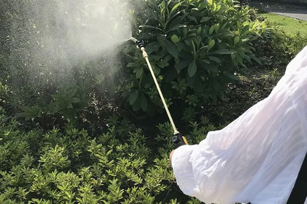 怎么使用杀虫剂，防治地下害虫可以先撒施再深耕