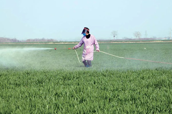 怎么使用杀虫剂，防治地下害虫可以先撒施再深耕