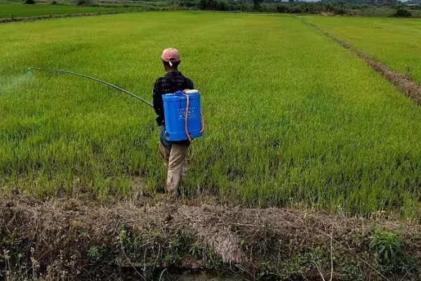 怎么使用杀虫剂，防治地下害虫可以先撒施再深耕
