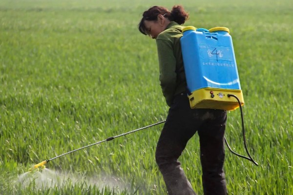 怎么使用杀虫剂，防治地下害虫可以先撒施再深耕
