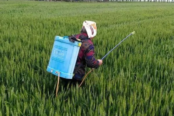 怎么使用杀虫剂，防治地下害虫可以先撒施再深耕