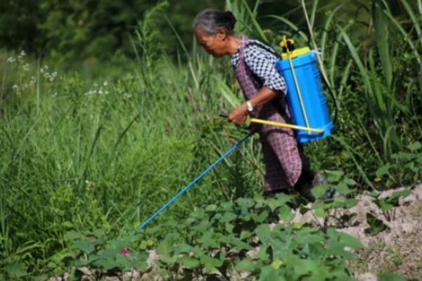 怎么使用杀虫剂，防治地下害虫可以先撒施再深耕