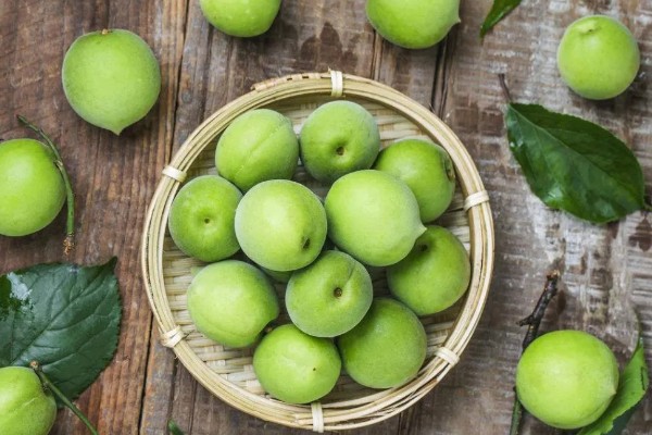 酸梅有哪些,常见大青梅、大花梅等品种