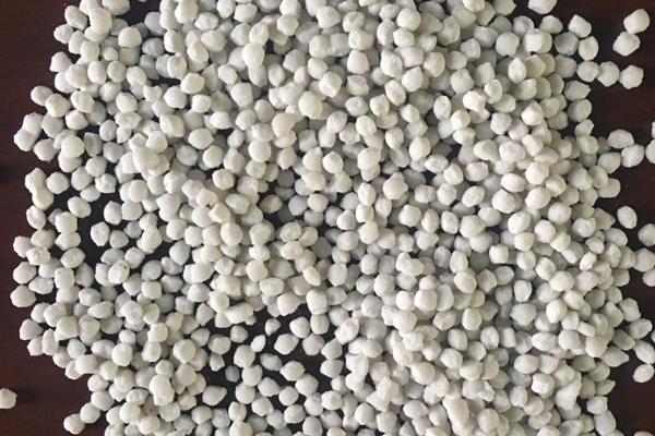 柿子树怎么管理，萌芽前和开花前后各灌一次水