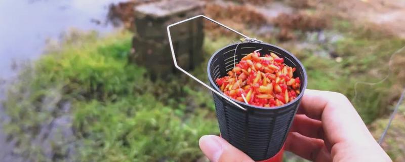 冬季钓鱼打窝用什么窝料，推荐酒米、五谷杂粮等