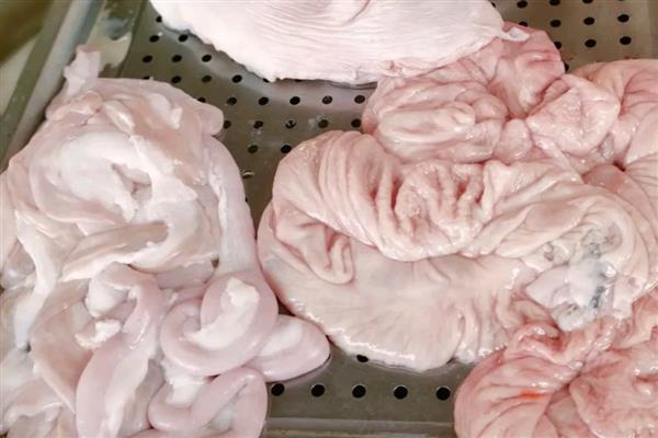 猪下货是什么，一般指猪的内脏