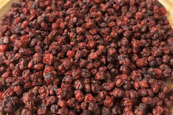 东北适合哪些药材，黄芪、人参、柴胡等品种值得选择