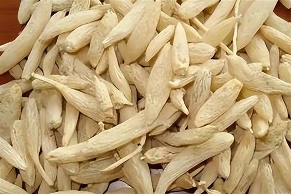 东北适合哪些药材，黄芪、人参、柴胡等品种值得选择