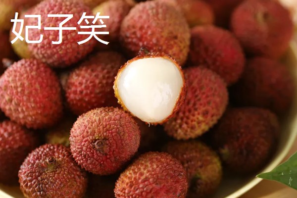 圆枝荔枝有何特点,平均单果重约25克