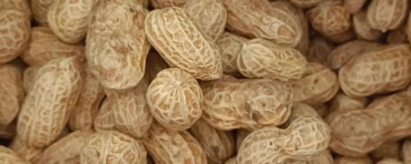 春天适合种哪些农作物，适合种植水稻、棉花等