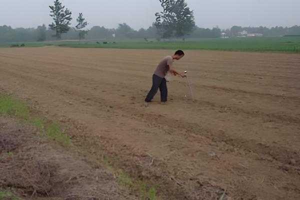 我国的绿豆产于哪里,主产于黄河流域、淮河流域及东北地区