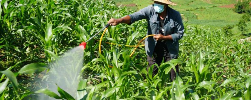 使用玉米封闭除草剂的温度要求，平均气温低于15℃时不能用药