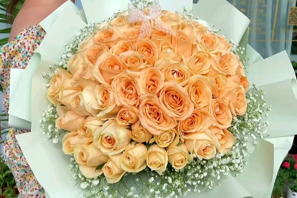 52朵香槟玫瑰的含义,代表我爱你、你是我最爱的人