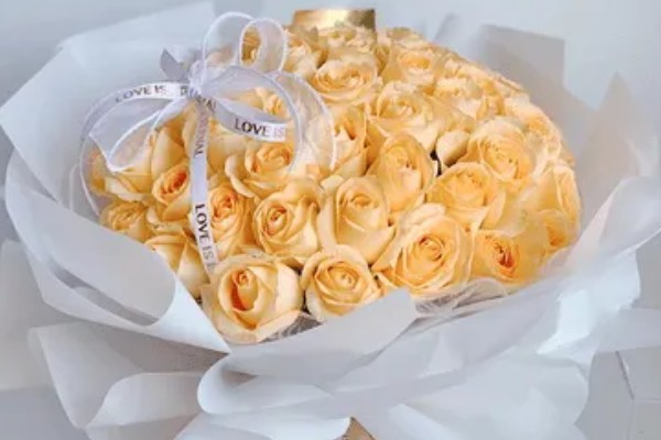 52朵香槟玫瑰的含义,代表我爱你、你是我最爱的人