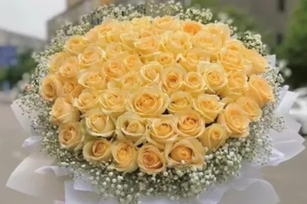 52朵香槟玫瑰的含义,代表我爱你、你是我最爱的人