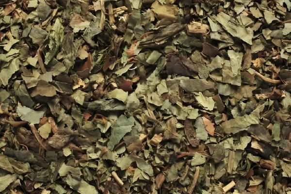 细辛冬天会不会被冻死，可以忍耐-40℃以下的低温