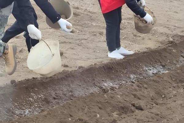 小麦播种过晚的对策，以划锄和补肥补水为主