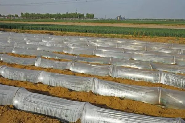 怎么区分农膜的质量，从以下7点出发去挑选