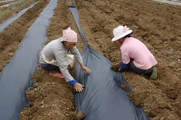 怎么区分农膜的质量，从以下7点出发去挑选