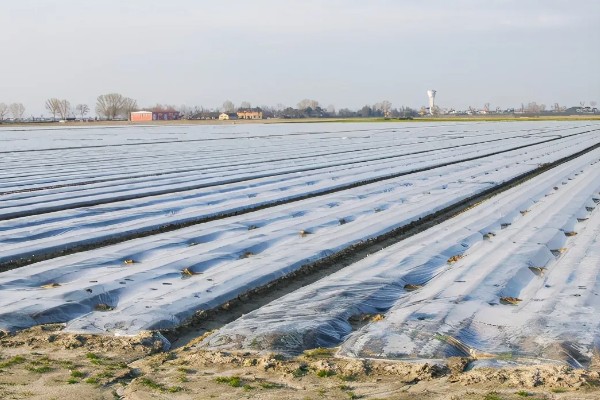 怎么区分农膜的质量，从以下7点出发去挑选