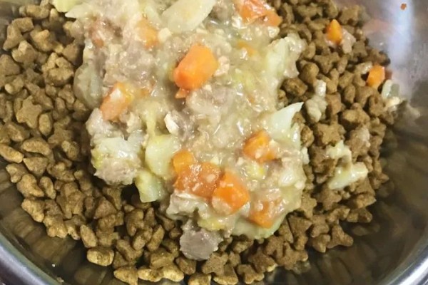 自制泰迪狗粮的方法,推荐以下3种配方