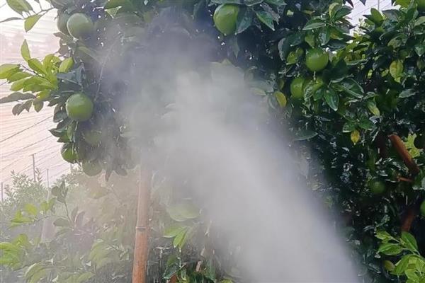 防治花果植物病虫害选择什么农药,针对不同植物选择不同的农药