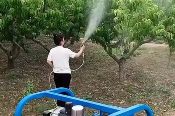 防治花果植物病虫害选择什么农药,针对不同植物选择不同的农药