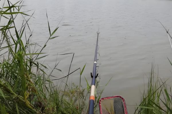 早春雨后好钓鱼吗,暴雨或大暴雨则不合适