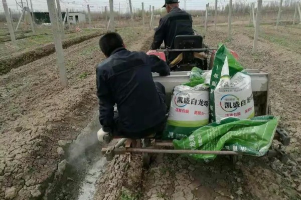 种香如蜜施哪种肥,底肥以有机肥为主