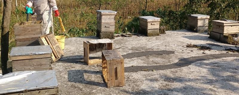 中蜂喂糖不能超过几天，不要超过60天左右