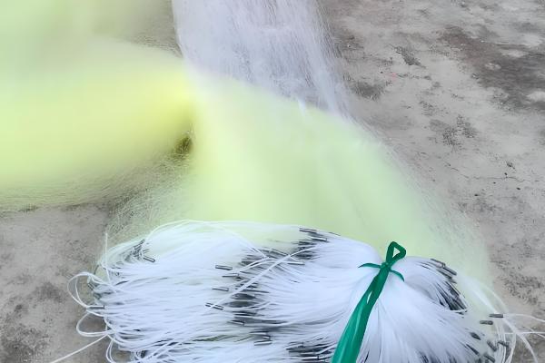 渔网的捕鱼原理,铅球在水中竖直向下将网合拢