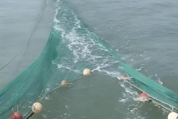 渔网的捕鱼原理,铅球在水中竖直向下将网合拢