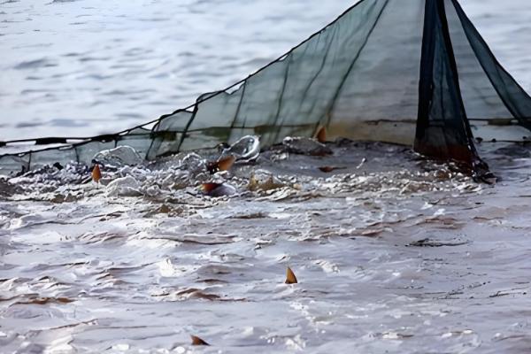 渔网的捕鱼原理,铅球在水中竖直向下将网合拢