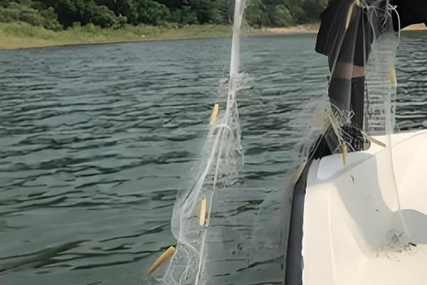 渔网的捕鱼原理,铅球在水中竖直向下将网合拢